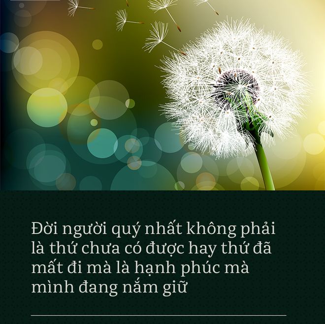 Cây bồ công anh, lá bồ công anh tươi