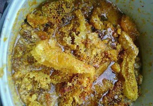 Sáp ong chuẩn bị lấy mật